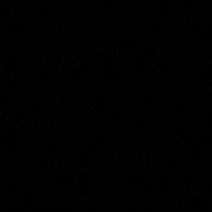 Meet your Posher, Laila